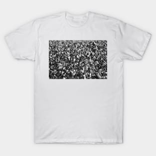 Cotton In Black And White T-Shirt